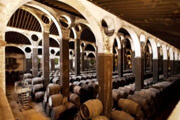 Bodegas Barbadillo