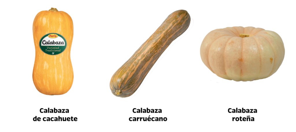 Tres tipos de calabazas alineadas sobre un fondo blanco: Calabaza de cacahuete, alargada y de color naranja; Calabaza carruecano, alargada con rayas verdes y anaranjadas; y Calabaza roteña, redonda y de color crema claro.