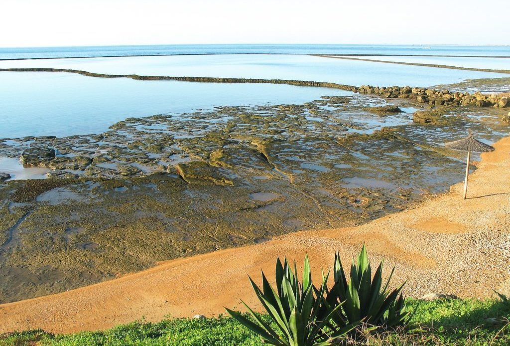 Corrales de pesca en Chipiona, Cádiz, tradición milenaria junto al mar.